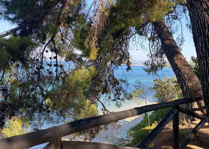 Appartement Sithonia *