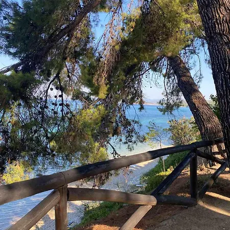 Apartament Sithonia *