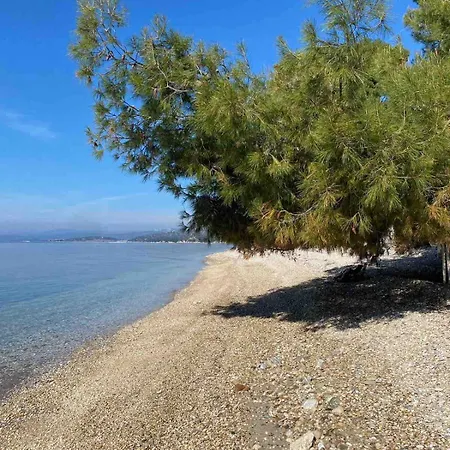 Apartament Sithonia Elia Nikitis