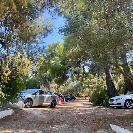 Sithonia Apartament *