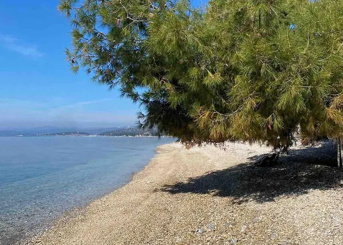 Apartament Sithonia Elia Nikitis